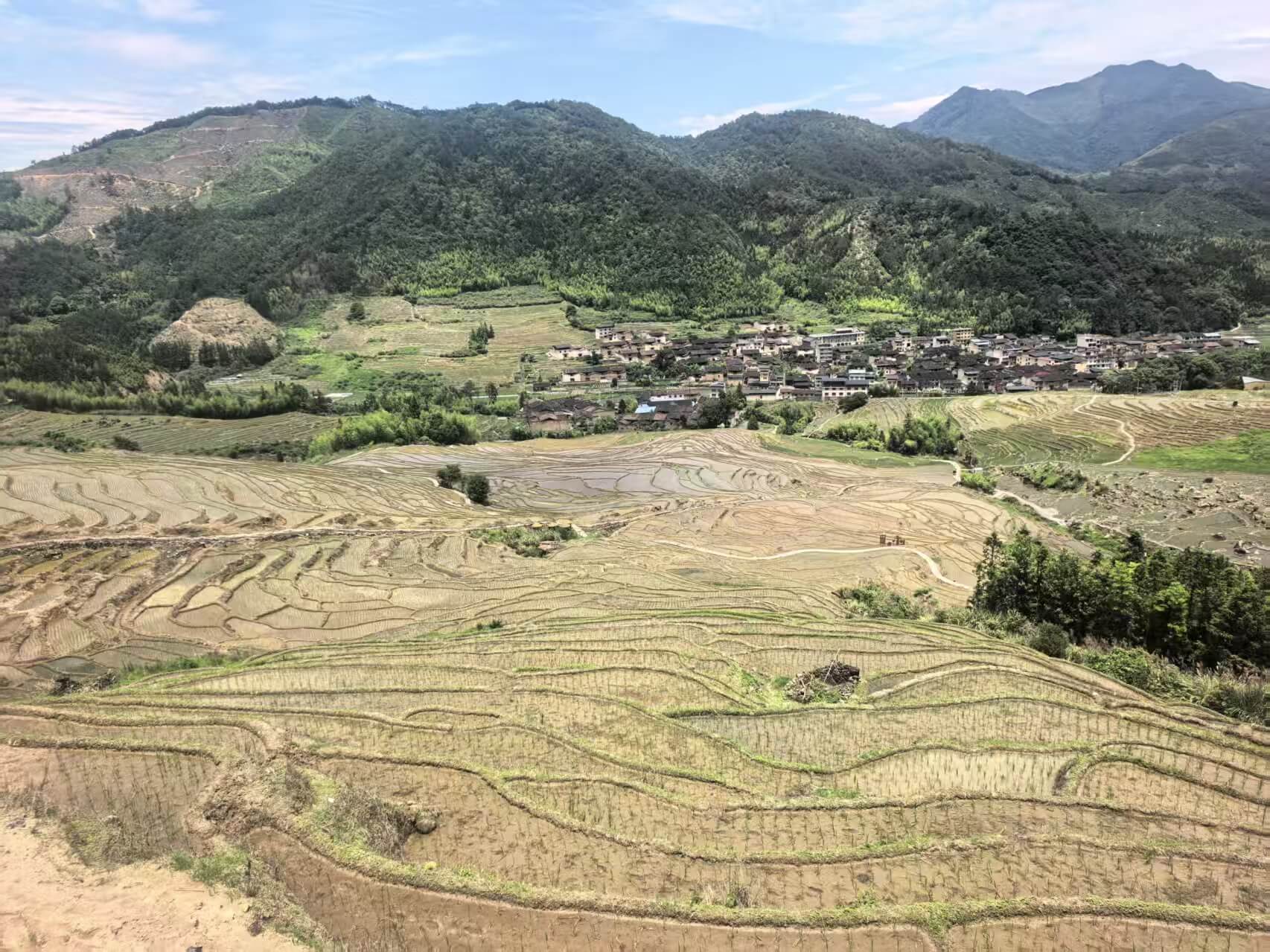 In June 2026, LTMG spearheaded a joint effort involving various sectors of society to donate one thousand mu of farmland for ecological conservation and the prevention of soil erosion.